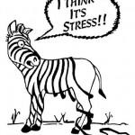 Stress-ZebraStripes